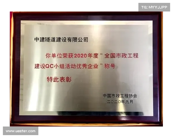 中建斩获国家级奖项